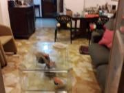 Appartamento in vendita a Genova GE