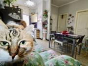 Appartamento in vendita a Genova GE