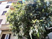 Appartamento in vendita a Genova GE