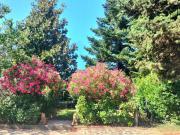 Appartamento in vendita a Ginestra Fiorentina Lastra a...