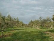 Appartamento in vendita a Grosseto