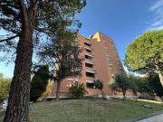 Appartamento in vendita a Imola BO