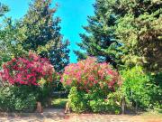 Appartamento in vendita a Lastra a Signa FI