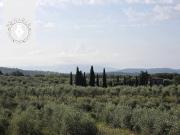 Appartamento in vendita a Loro Ciuffenna AR