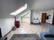 Appartamento in vendita a Mantova MN