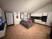 Appartamento in vendita a Mantova MN