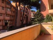 Appartamento in vendita a Marino RM