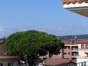 Appartamento in vendita a Marino RM