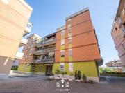 Appartamento in affitto a Marino RM