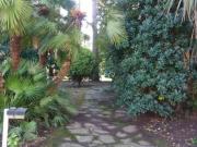 Appartamento in vendita a Marina di Massa Massa 100 mq...