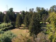 APPARTAMENTO in VENDITA a MASSA CENTRO di 4 vani