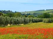 Appartamento in vendita a Massa Marittima