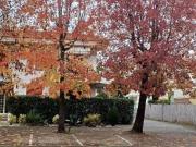 Appartamento in vendita a Massa MS