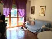 APPARTAMENTO in VENDITA a MASSA RONCHI di 3 vani