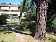 APPARTAMENTO in VENDITA a MASSA RONCHI di 3 vani