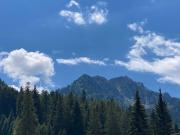 Appartamento in vendita a Mezzana TN