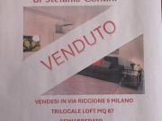 Appartamento in vendita a Milano MI