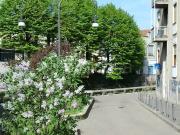 Appartamento in vendita a Milano via Luigi Bertelli,...