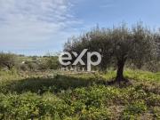 Appartamento in vendita a Ragusa