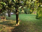 Casa indipendente in vendita a Mogliano Veneto via...