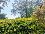 Appartamento in vendita a Moncalieri TO