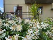 Appartamento in vendita a Montagnana Montespertoli 190...