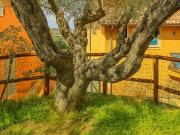 Appartamento in vendita a Monte Argentario GR