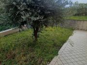 Appartamento in vendita a Monte Grimano Terme PU