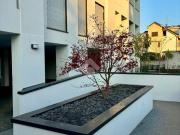 Appartamento in vendita a Monza MB