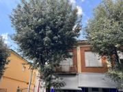 Appartamento in vendita a Morciano di Romagna RN