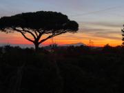 Appartamento in vendita a Napoli NA