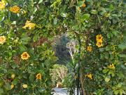 Appartamento in vendita a Napoli NA