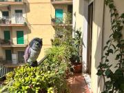 Appartamento in vendita a Napoli NA