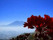 Appartamento in vendita a Napoli NA