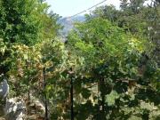 Appartamento in vendita a Novafeltria RN