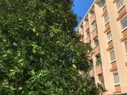 Appartamento in vendita a Novara NO