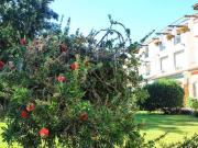 Appartamento in vendita a Olbia SS