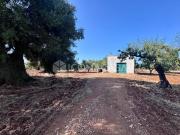 Appartamento in vendita a Ostuni