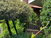 Appartamento in Vendita a Padova