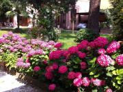 Appartamento in vendita a Padova PD