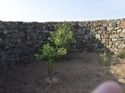 Appartamento in vendita a Pantelleria TP