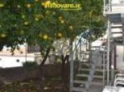 Appartamento in vendita a Paola CS