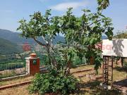 Appartamento in vendita a Pereto