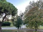 Appartamento in vendita a Pesaro PU