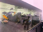 Appartamento in vendita a Pesaro PU