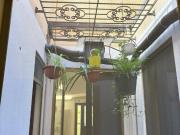 Appartamento in vendita a Pesaro PU