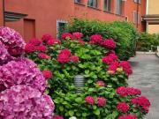 Appartamento in vendita a Piacenza