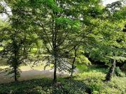 Appartamento in vendita a Piacenza PC