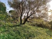 Appartamento in vendita a Pieve Ligure GE