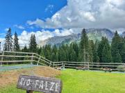Appartamento in vendita a Pinzolo TN